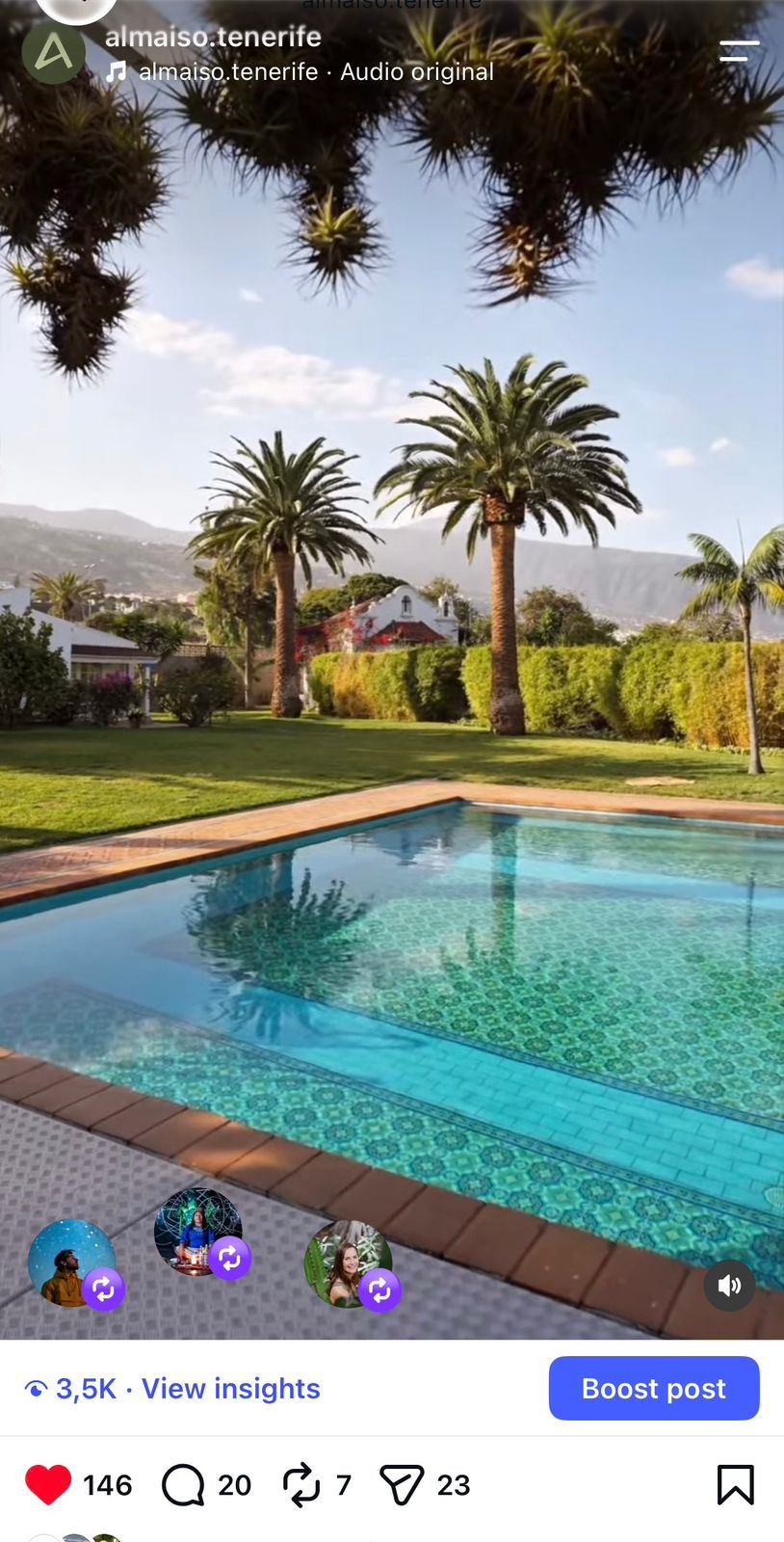Almaíso Instagram reel of the pool and palm trees